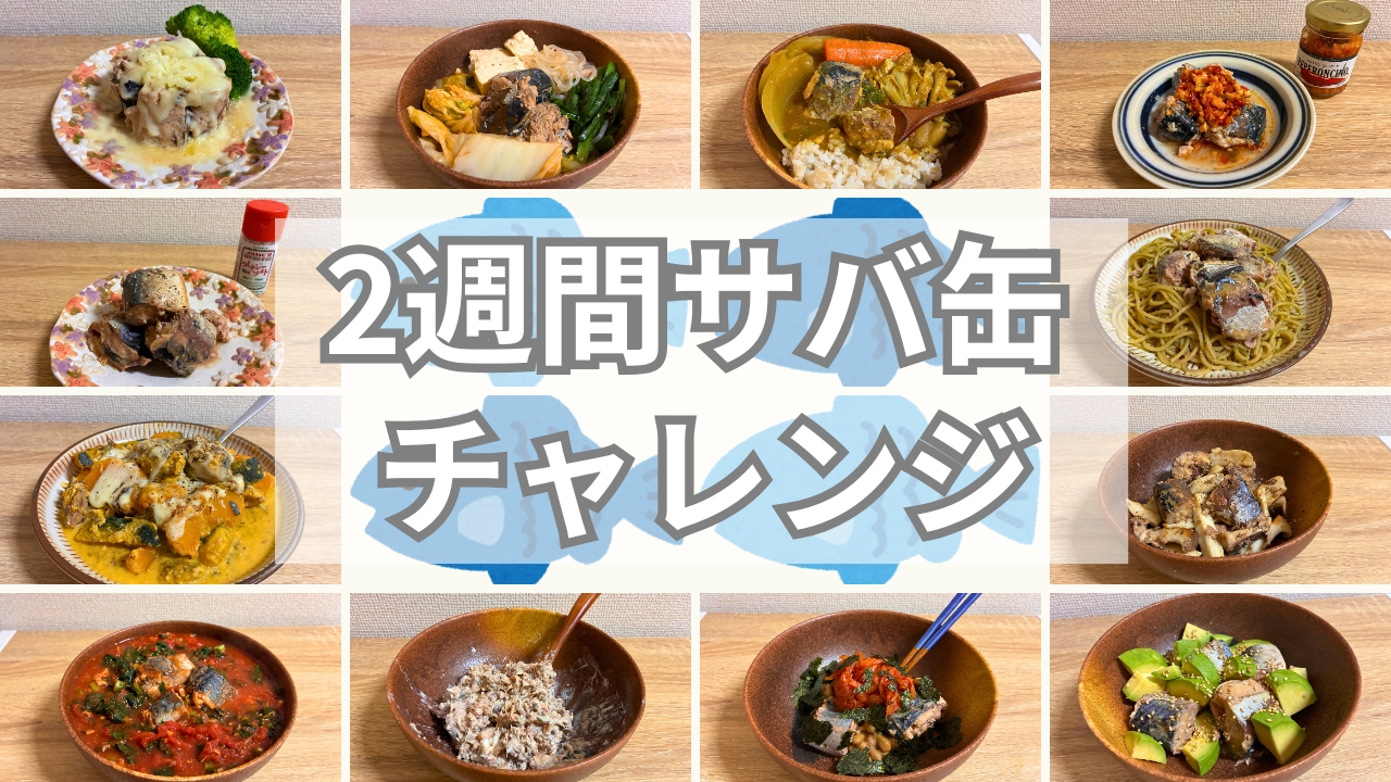 サバ缶チャレンジ